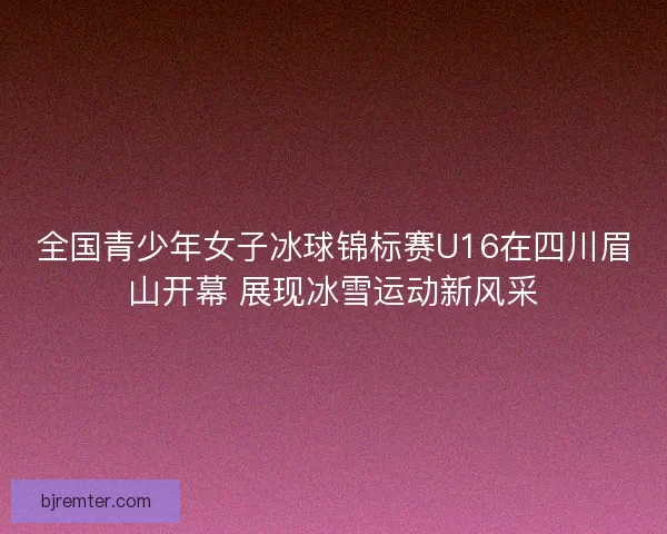 全国青少年女子冰球锦标赛U16在四川眉山开幕 展现冰雪运动新风采 全国青少年女子冰球锦标赛U16在四川眉山开幕 展现冰雪运动新风采