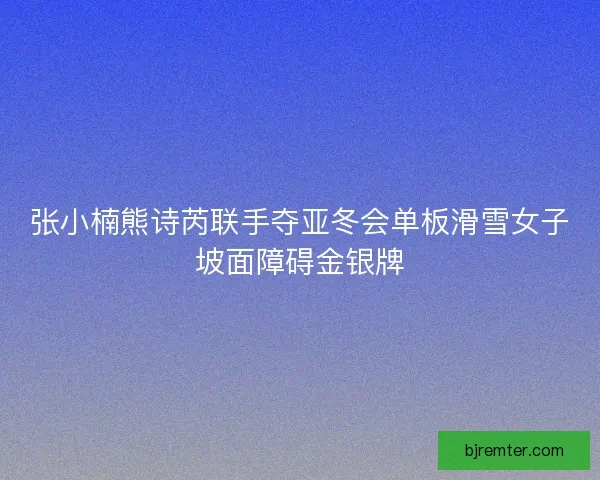 张小楠熊诗芮联手夺亚冬会单板滑雪女子坡面障碍金银牌 张小楠熊诗芮联手夺亚冬会单板滑雪女子坡面障碍金银牌